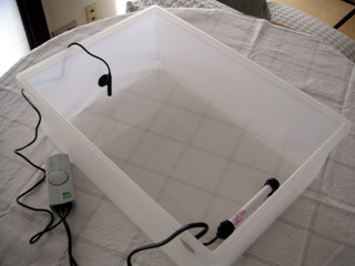 2008/03/05_2