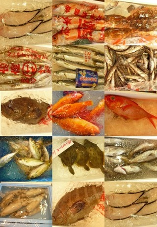 南部市場のお魚