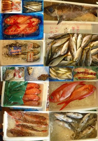 南部市場のお魚