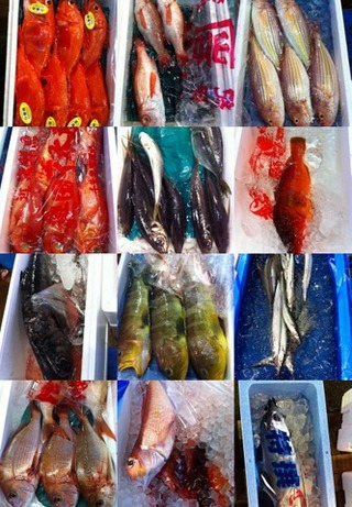魚