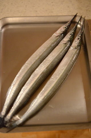 細魚（さより）