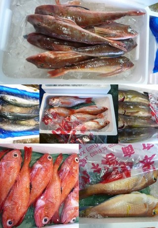 南部市場のお魚